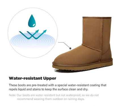 UGG Short Classic Boots(Chestnut color) AS15801