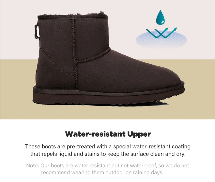 UGG Mini Classic Boots(Chestnut color only) AS15701