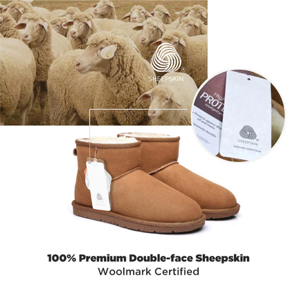 UGG Mini Classic Boots(Chestnut color only) AS15701