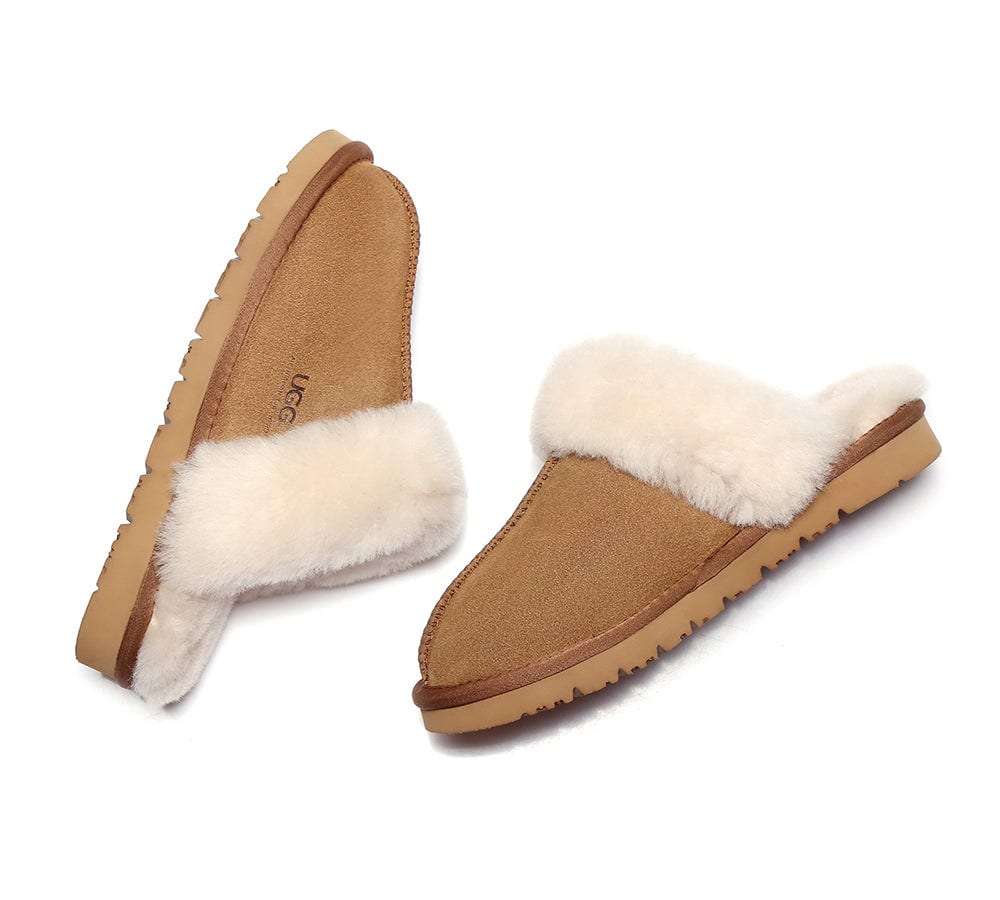 Australian Shepherd Muffin slipper